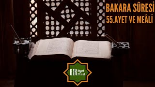 Bakara Suresi 55. Ayet ve Meali