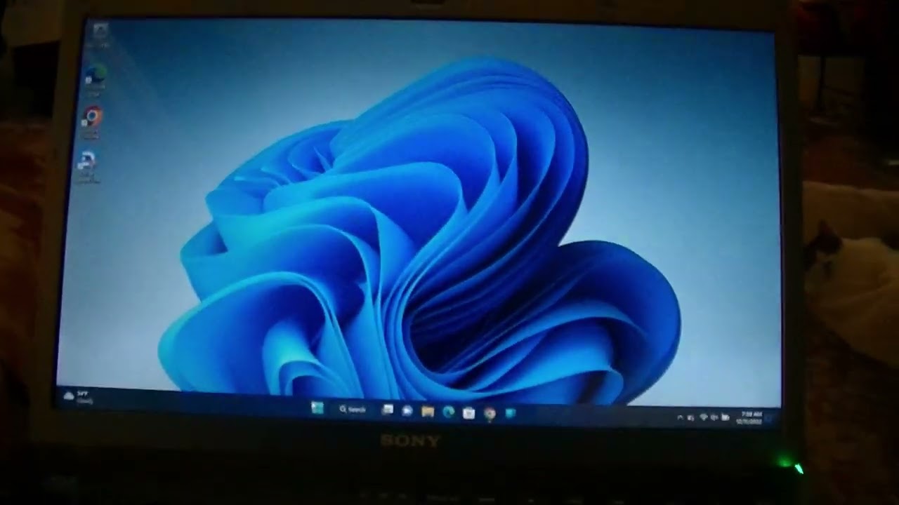 Running Windows 11 on Old Sony Vaio Without a Problem (Updates