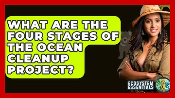 What Are The Four Stages Of The Ocean Cleanup Project? - Ecosystem Essentials