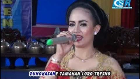 KAPILUT // NITA // GOYANG COKEK // MADU RETNO