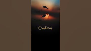 AL-FAJR (سورة الفجر )❤️🤲 Egzon Ibrahimi #surahalfajr #quran #viralvideo