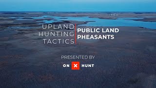 Upland Hunting Tactics with onX: Public Land Pheasants