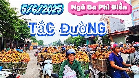 CẬP NHẬT GIÁ VẢI U HỒNG LỤC NGẠN TẠI NGÃ BA PHÌ ĐIỀN NÚI ĐỒI LỤC NGẠN
