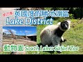 [第四集] 英國度假勝地湖區Lake District景點介紹 - 親子好去處/近距離接觸動物，動物園 South Lakes Safari Zoo