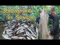 Berburu Ikan Di Sungai Ungak, Menggunakan Pukat. Perbatasan Indonesia-Malaysia........