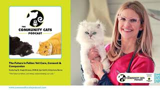 Ep 651: The Future Is Feline: Vet Care, Consent & Compassion with Dr. Angie Krause, DVM, and...