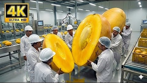 Inside a Mango Processing Plant 🥭 How Mangoes Become Nutritious Food Full Process