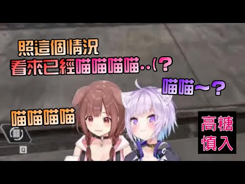 【Hololive】這兩隻講話講到一半，怎麼就突然用起喵語溝通了？喵喵喵喵的好可愛【貓又小粥/戌神沁音/おかころ/貓狗貼貼/沁粥貼貼/OkaKoro】