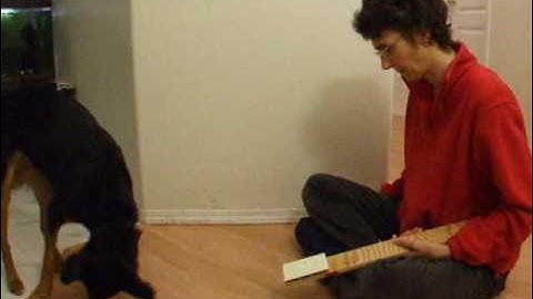 Habits of Effective Clicker Trainers Part 1 Using Rewards #servicedog #clickertraining #dogtraining