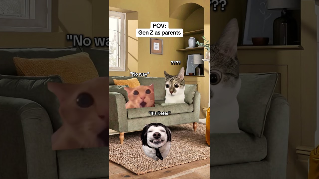 CAT MEMES 🐱Gen Z as parents 