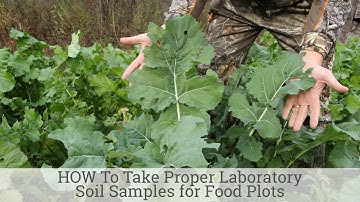 HOW To Take Proper Laboratory Soil Samples for Food Plots