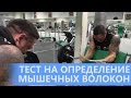 Тест на определение типа мышечных волокон