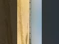 #viral #minivlogshorts