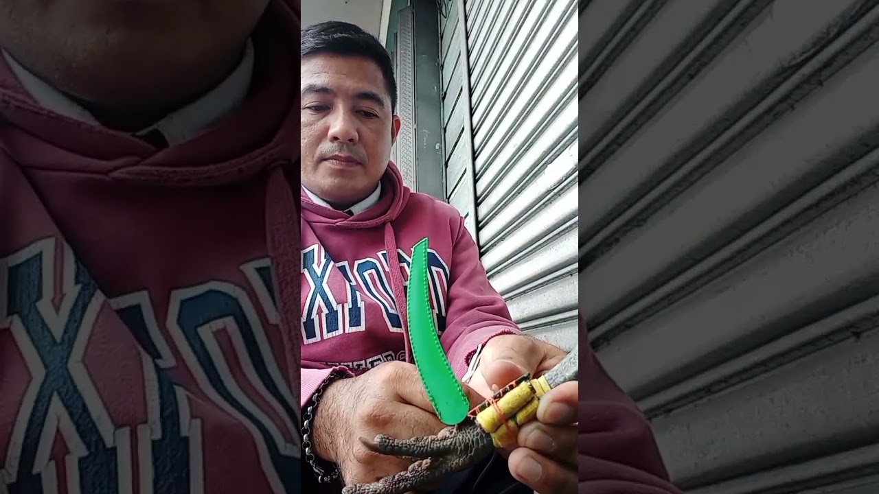 1245 Site Tari tutorial by NS Gaffer 😉 #Tariismylife