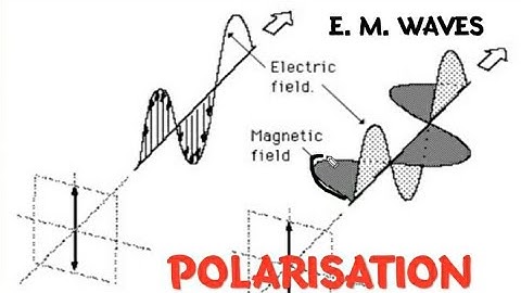 Polarization (basics) part-1