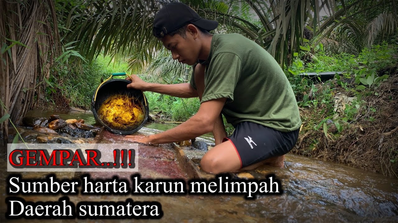 GEMPAR‼️ PENAMBANGAN EMAS DI INDONESIA SUMBER HARTA KARUN MELIMPAH DAERAH TAMBANG EMAS SUMATERA