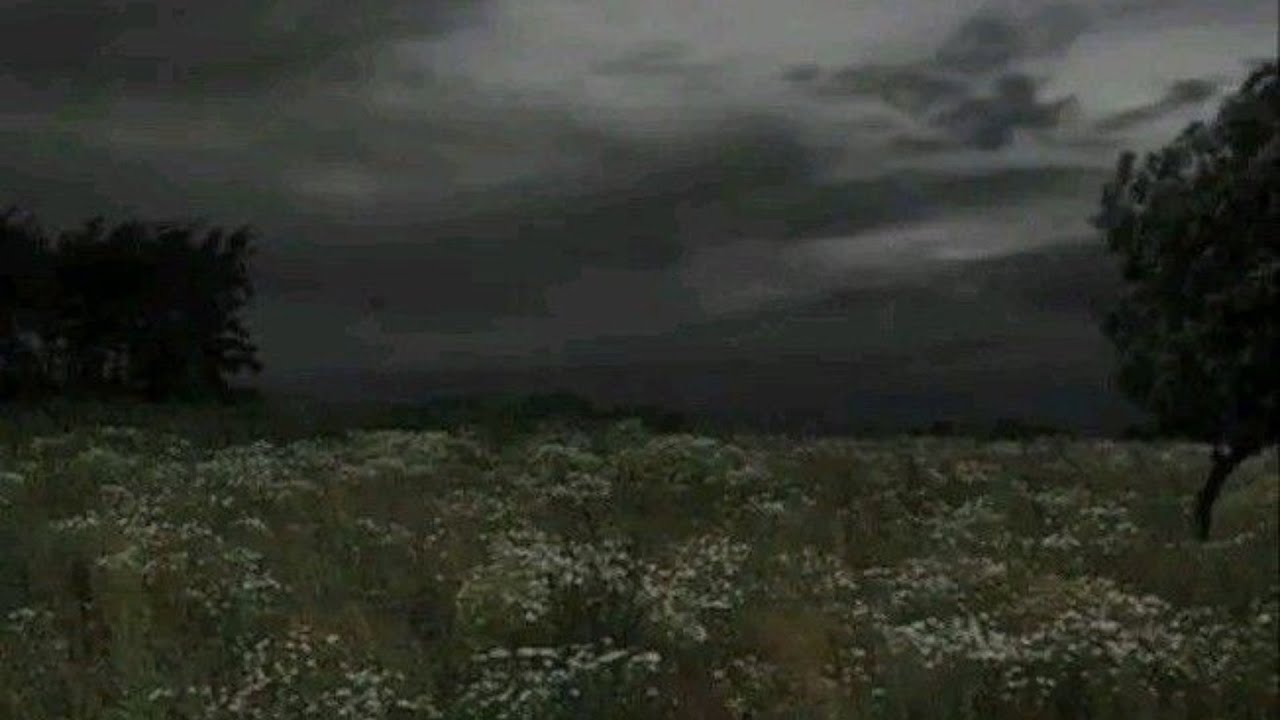 Hello Sinister Sippers!