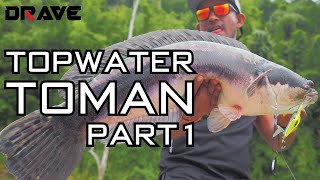 Vlog 002 Topwater Explosion Toman Day 1 Part 12