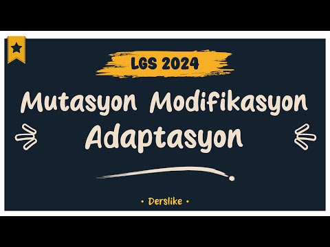 Mutasyon Modifikasyon Adaptasyon | LGS 2024