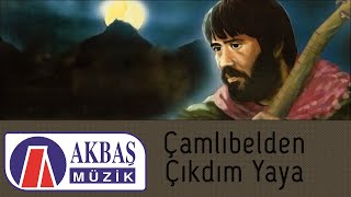 Osman Öztunç | Çamlıbelden Çıktım Yaya Resimi