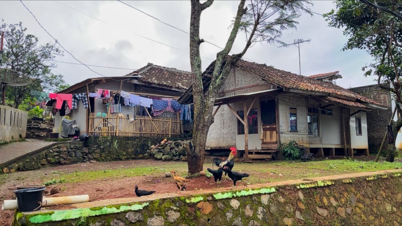 Suasana Pedesaan Kampung Waluran Kersamanah Di Lereng Gunung Yg Asri Dan Sejuk Bikin Betah