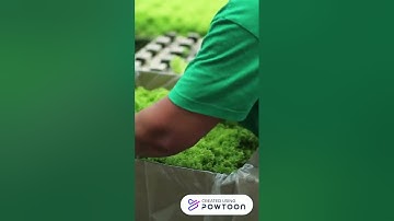 Problem-Solving Product Template