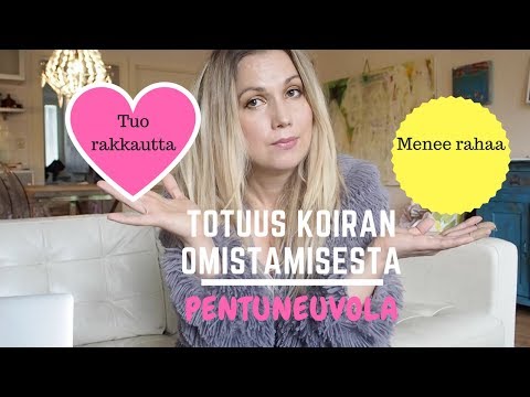 Video: Kuinka Pitää 