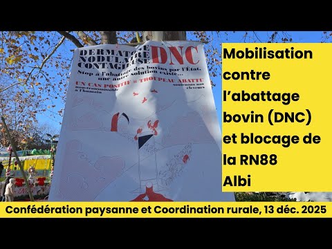 Mobilisation contre l’abattage bovin (DNC) et blocage de la RN88, Albi