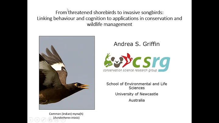 IAE Seminar Series: Dr Andrea Griffin, University ...