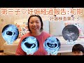 第3子♡妊娠経過報告:初期