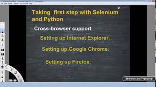 Automate Any Web App in Chrome Browser with the help of Selenium and Python
