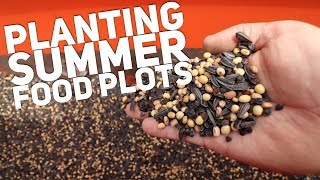 How & What to Plant for Deer in Summer Food Plots #15 S9