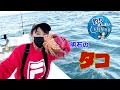 【たこざんまい】たこさーん！今年もよろしく！