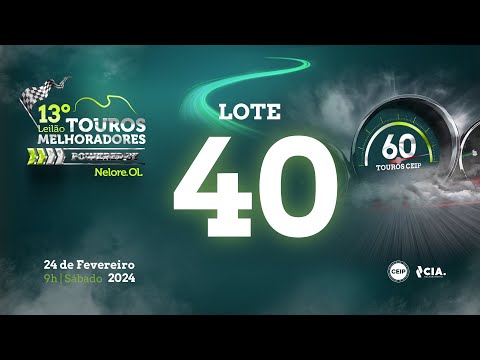 Lote 40 - V9137921 - 13º Leilão de Touros Melhoradores Nelore OL - Edição Virtual