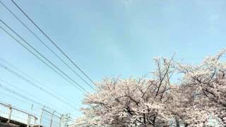 ラヴ コネクション