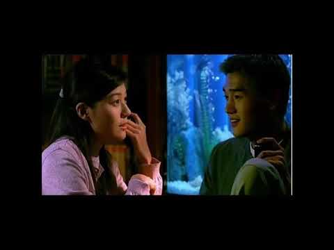 01 Ditto 동감 OST