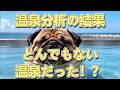 温泉分析の結果 ダブル美肌効果のある超レアなアルカリ性単純温泉でした