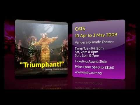 2009 新加坡夏之旅