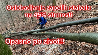 Oslobadjanje stabala na 45% strmosti. Opasno po zivot!!!