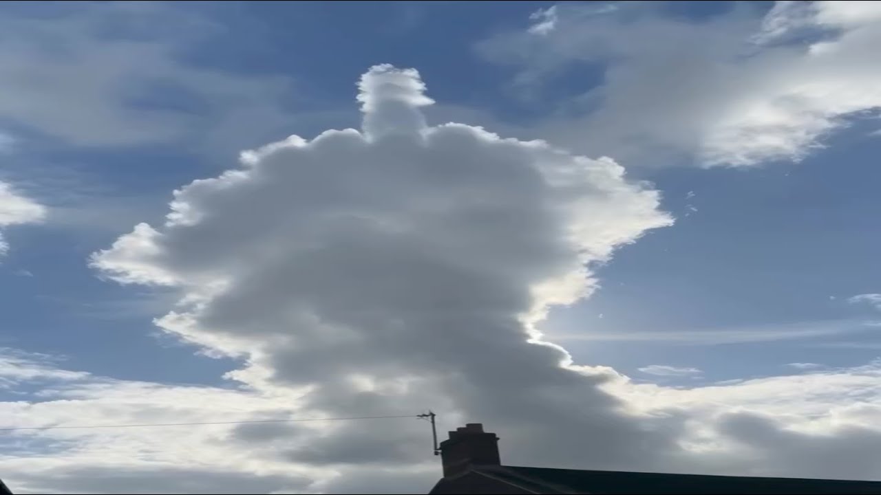 UNUSUAL MEMES COMPILATION V55