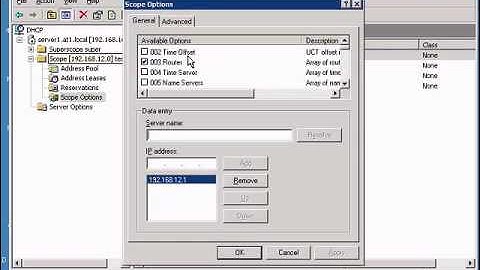 Editing Scope Options in a Windows DHCP server