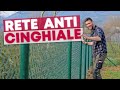 Questa RECINZIONE Ã¨ INDISTRUTTIBILE