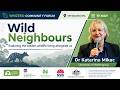 Wild Neighbours Project Findings | Dr Katarina Mikac on Quolls, Gliders and Wildlife Corridors