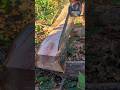 No dejamos nada, solo el aserrín😬#woodwork #chainsaw #asmrvideo