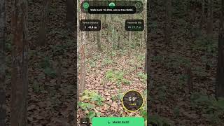 🌳 Measure tree height using just your phone!No tools, no stress — try this AR trick 📱