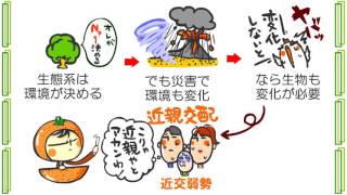 生物５章６話「生物の多様性」ｂｙWEB玉塾