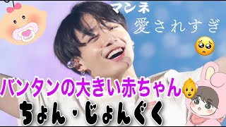 【BTS日本語字幕】ヒョン達に愛されすぎなジョングク集めた💜🍼