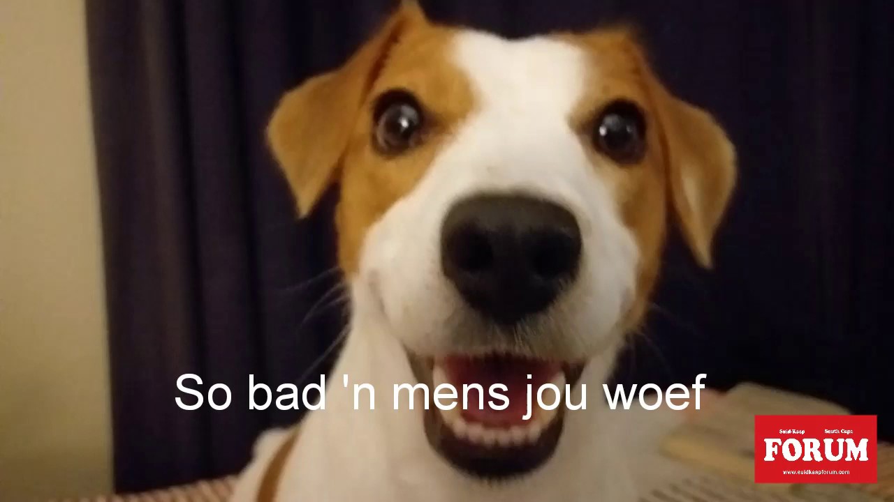 So maak mens... of nie - YouTube