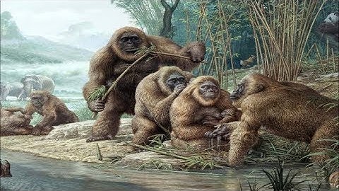 Gigantopithecus - The Largest Ape That Ever Existed! / Documentary (English/HD)