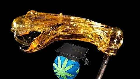 Cosa significa il numero 420?